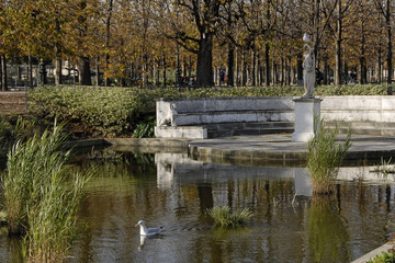 bassin &agrave; paris
