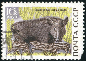 postage stamp