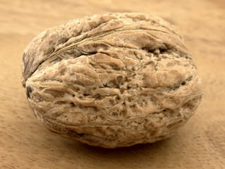 Walnut close up