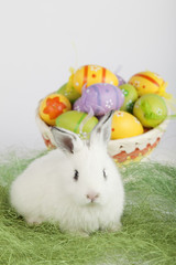 Easter bunny in front of a basket full of painted eggs