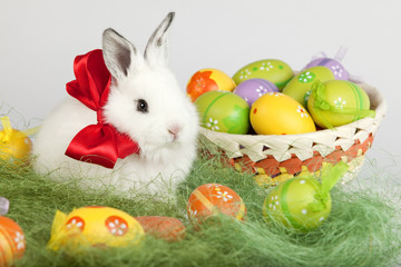 Easter bunny with red bow, sitting on grass, with colorful eggs