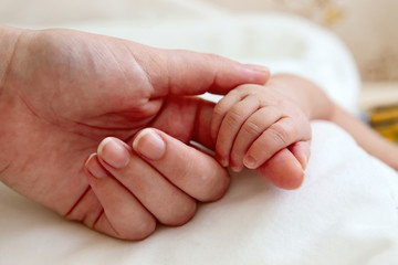 Obraz na płótnie Canvas Baby's hand holding mother's finger