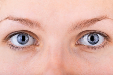 close up shot of womans eyes