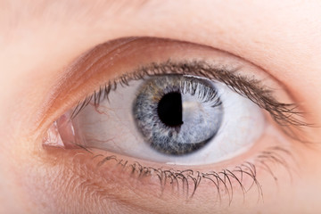close up shot of a womans eye