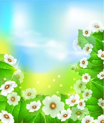 Fotobehang Summer or spring vector illustration for fresh design © blina