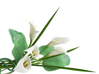 3D callas arrangement