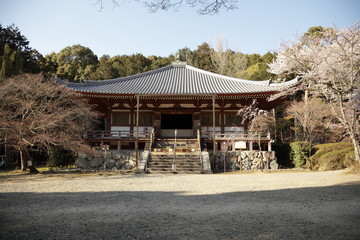 Fototapeta premium 大講堂