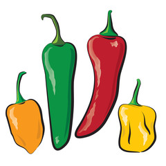 hot peppers - obrazy, fototapety, plakaty