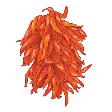 chilies bunch_ristra