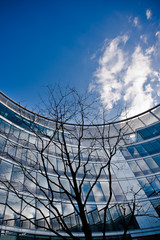 office building with tree