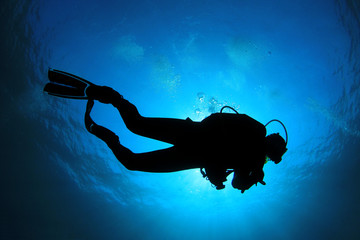 Scuba Diving