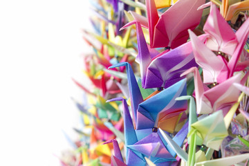 Colorful paper birds hanging together using fishing lines