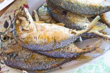 mackerel fry