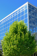 Plakat Budynek i nowoczesne szklane Drzewo Streszczenie