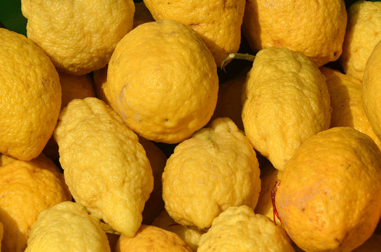 Cedri