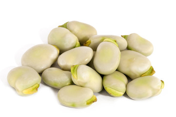 broad bean
