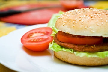 Healthy homemade hamurger