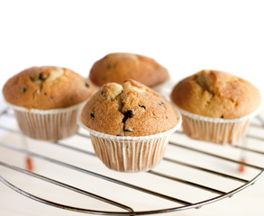 muffins sur une grille de four