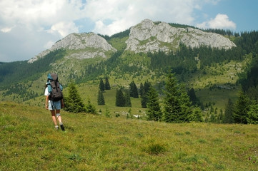 Fototapeta na wymiar Trekking in the mountains. Vladeasa, Romania