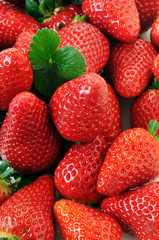 a pile of ripe strawberries with leaves