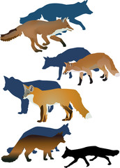 illustration with set of foxes