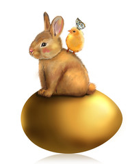 Honey bunny Easter greeting card