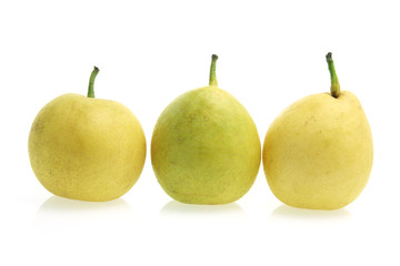 Nashi Pears