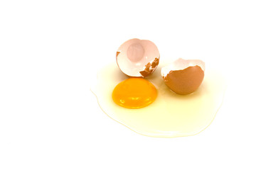 broken egg