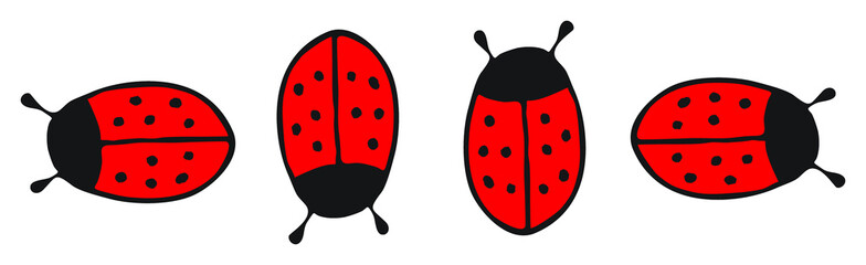Marienkäfer - Ladybird, Vektor