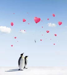 Crédence de cuisine en verre imprimé Pingouin Balloon Love Letters
