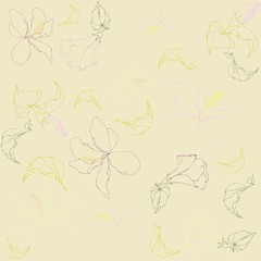 Seamless background.Illustration  hibiscus.
