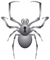 Obraz premium Spider security