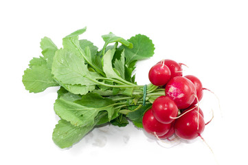 Radish