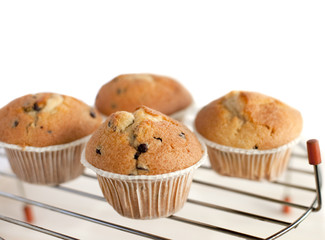 muffin sur grille de four