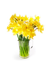 Daffodils bouquet