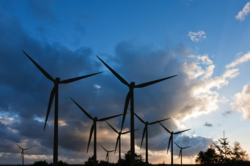 Fototapeta premium Windmill