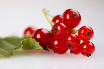 redcurrant