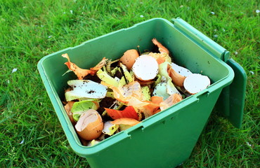 bac de déchets pour compost - 31345087