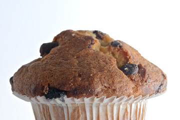 Chocolate Chip Muffin