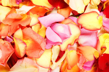 A colorful background image of beautiful bright fallen petals