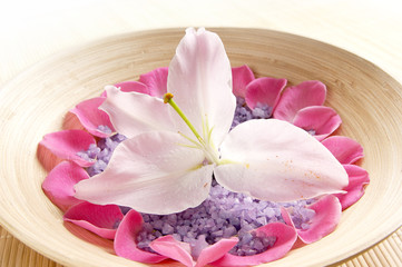 A beautiful pink lily in the middle of a bowl filled with salt
