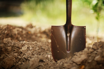 Naklejka premium Shovel in soil. Closeup, shallow DOF.