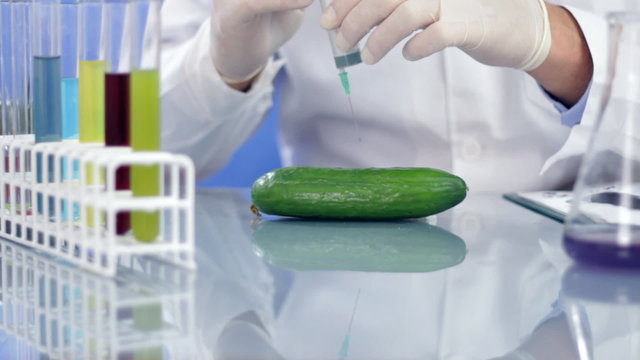scientist hands with syringe injecting blue mixture in cucumber