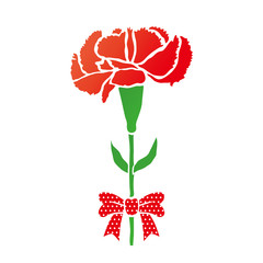 カーネーション