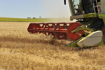 Moisson du champ