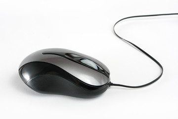 Computer mouse on white