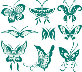 butterfly illustration