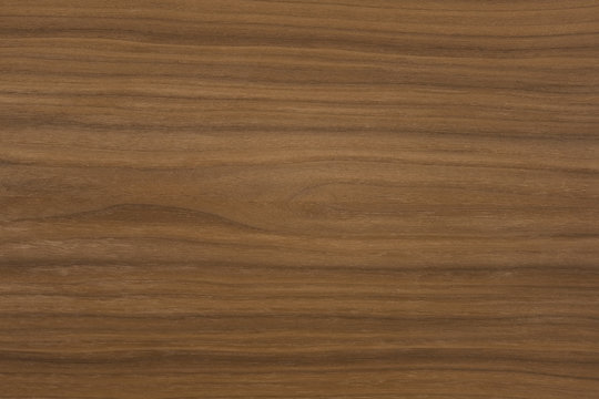 holz