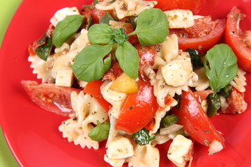 Salad - made of farfalle pasta, tomato, salami and mozzarella