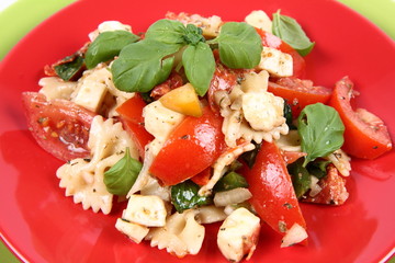Salad - made of farfalle pasta, tomato, salami and mozzarella